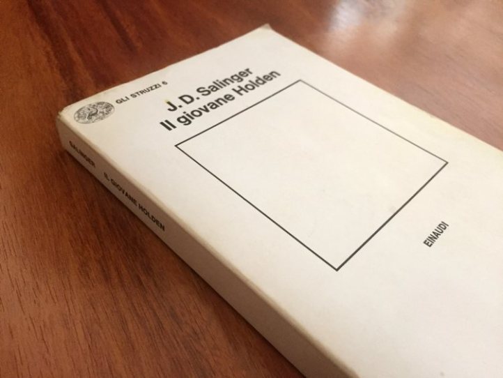 frasi-giovane-holden