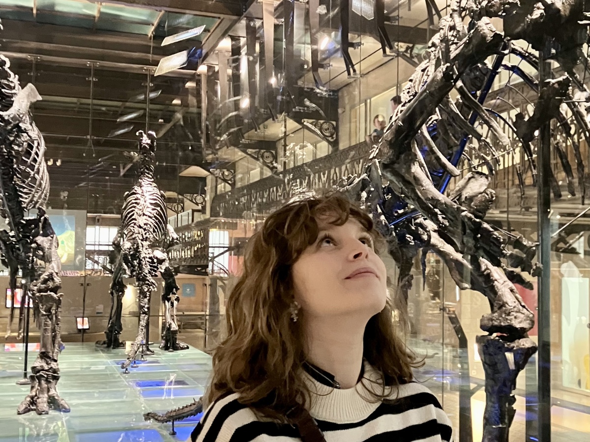 I dinosauri di Bruxelles: un’incredibile scoperta!