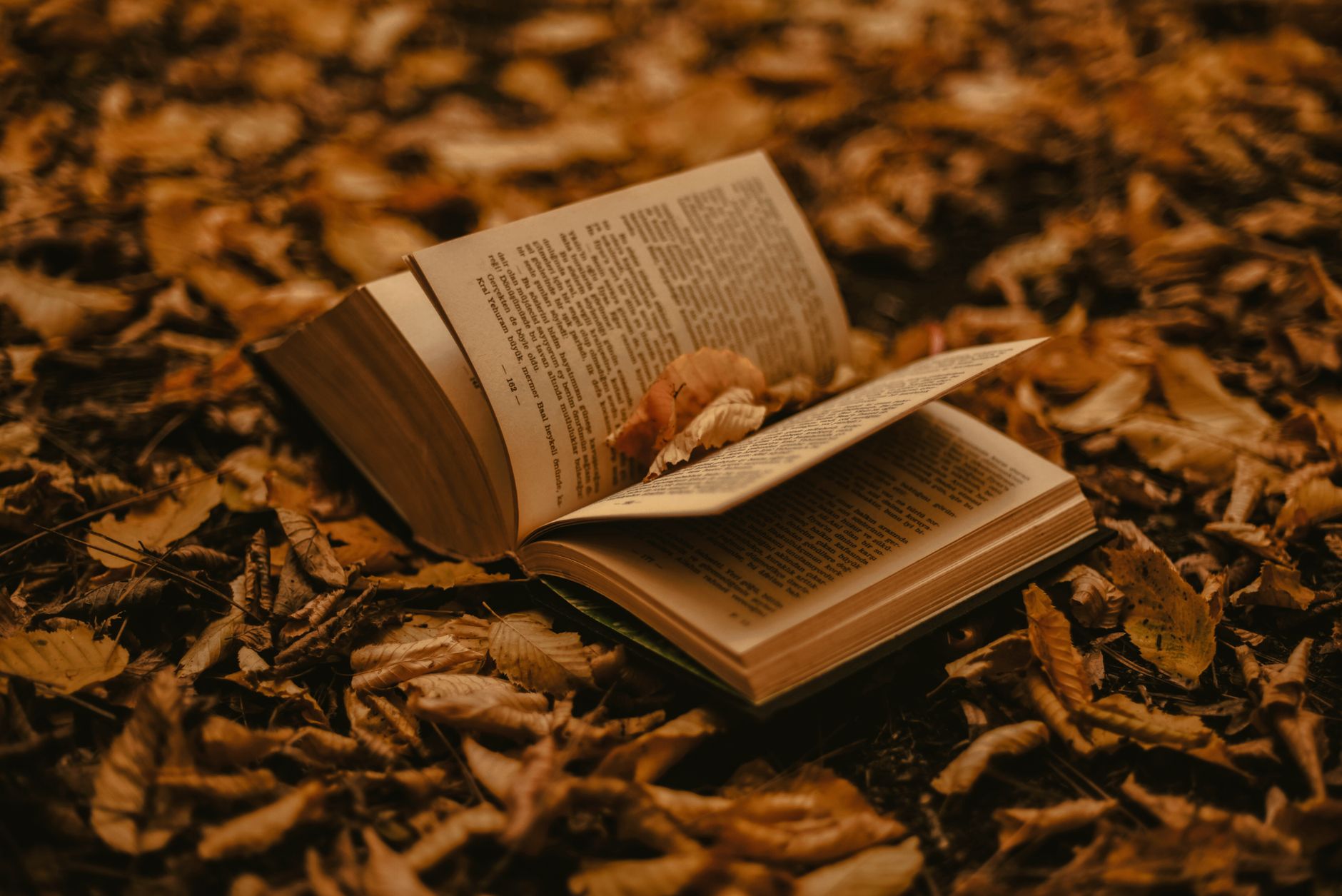 Un libro aperto adagiato tra foglie secche in un ambiente autunnale.